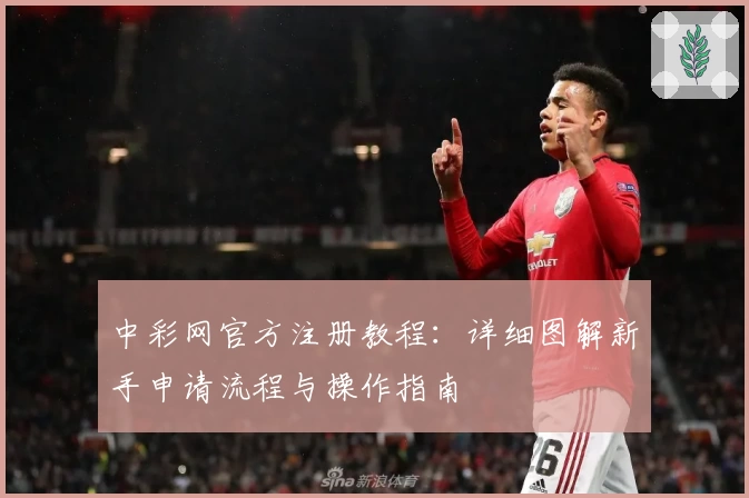 中彩网官方注册教程:详细图解新手申请流程与操作指南