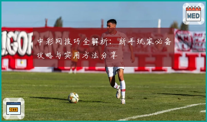 中彩网技巧全解析：新手玩家必备攻略与实用方法分享