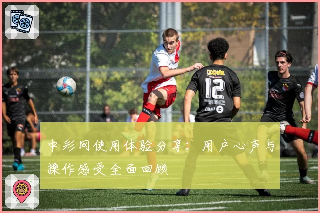 中彩网使用体验分享：用户心声与操作感受全面回顾