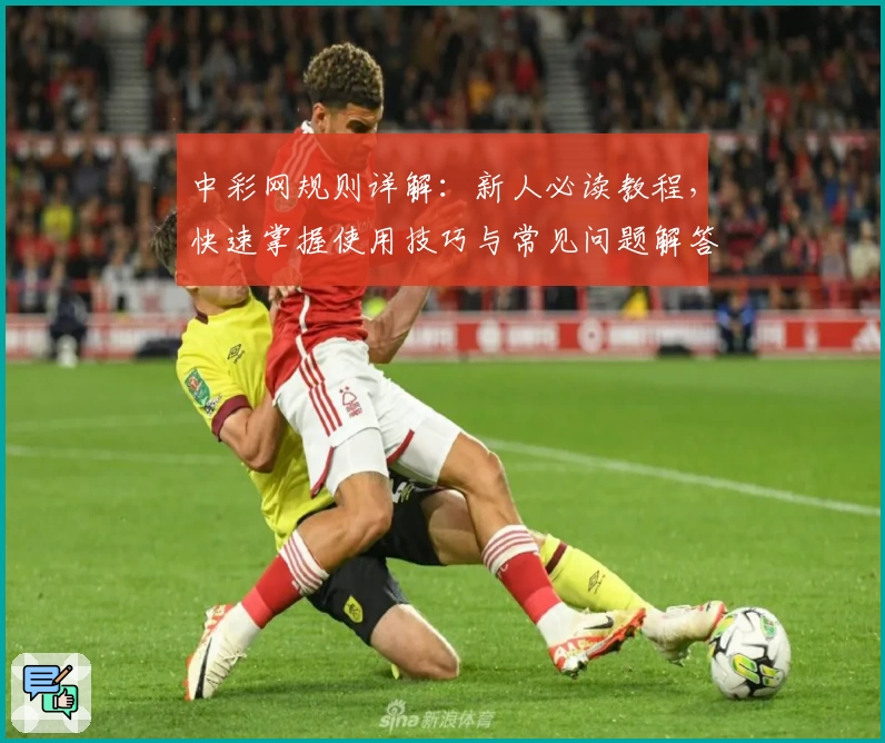 中彩网规则详解：新人必读教程，快速掌握使用技巧与常见问题解答